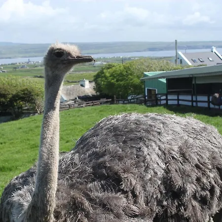 Skye's Atlantic Retreat Nyaraló Miltown Malbay