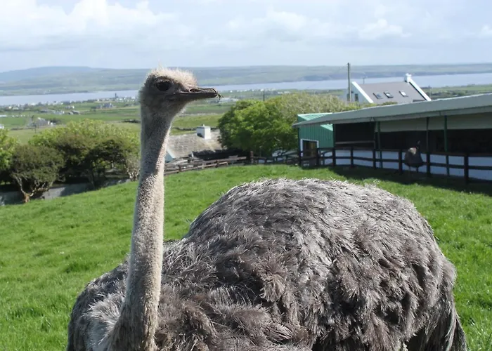 Skye's Atlantic Retreat Semesterbostad Milltown Malbay